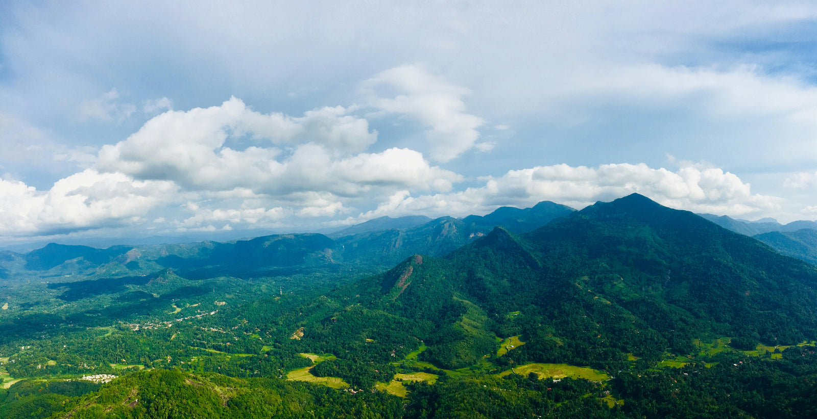 Clifftop golden hour