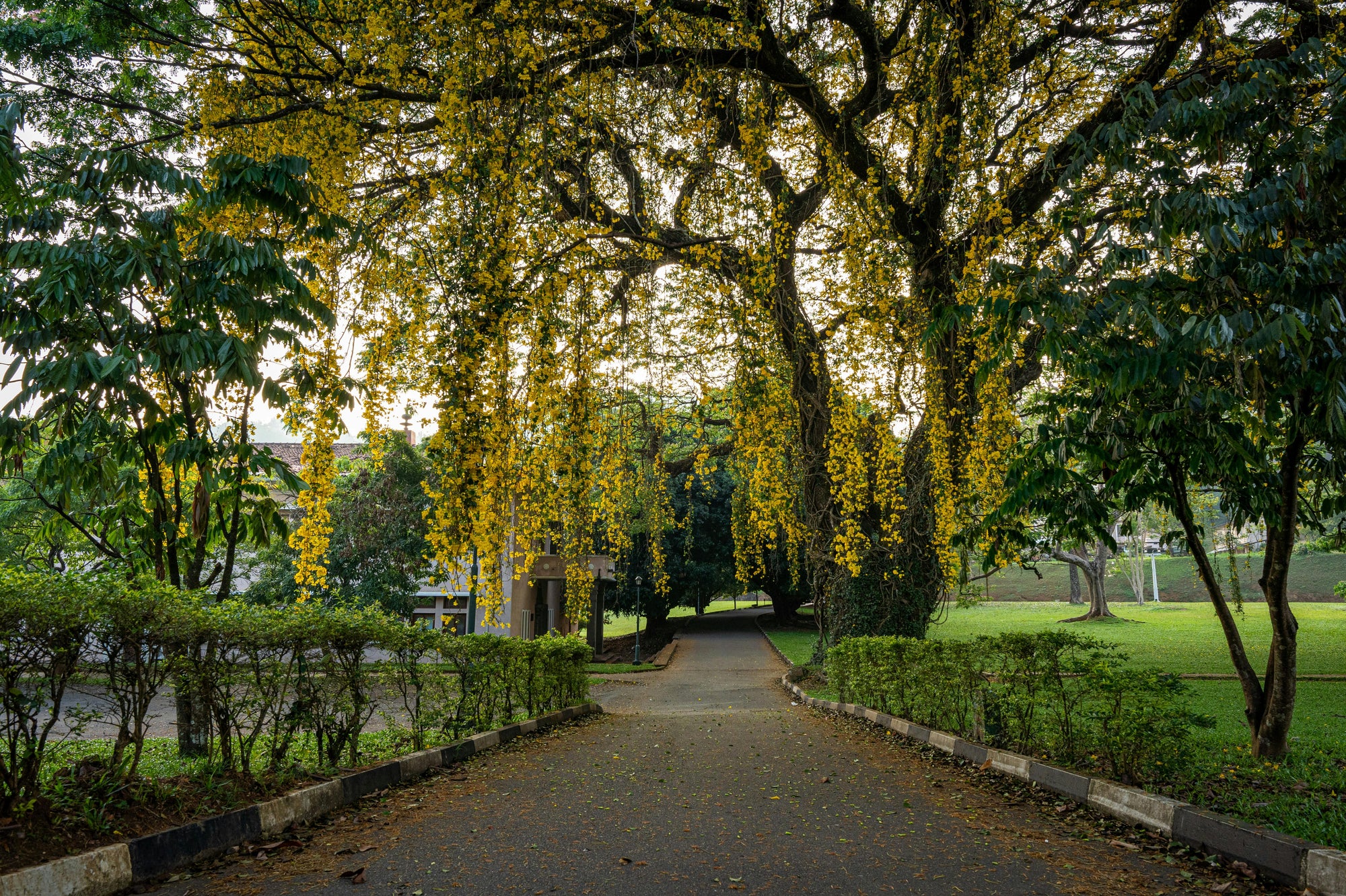 Adventure and wellness retreat hero image